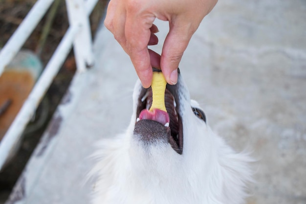 כפות רגליים בריאות מתחילות בטיפוח נכון