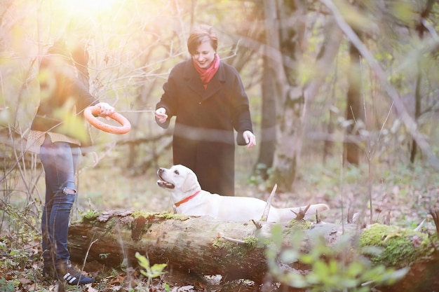 מגע של מים: איך להפוך את זמן הרחצה לחוויה חיובית לכלב שלך