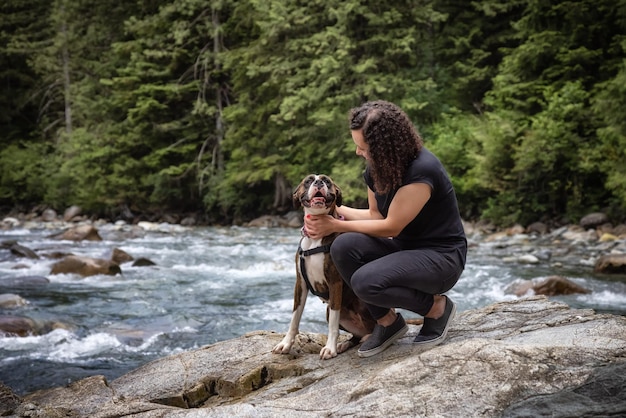 מגע של מים: איך להפוך את זמן הרחצה לחוויה חיובית לכלב שלך