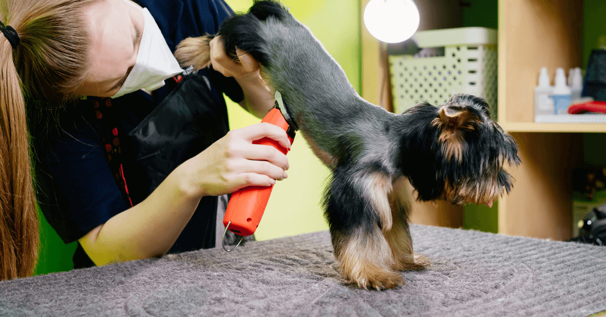 עיצוב ללא שם (5) (1) after