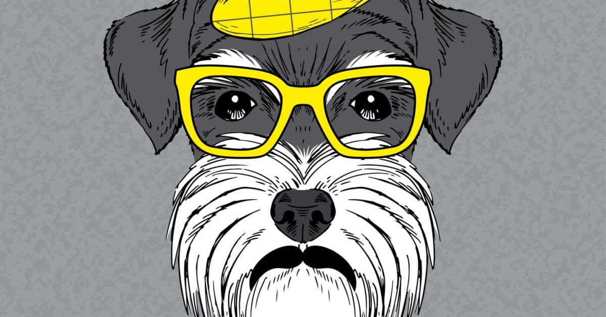 הנפשה של כלב עם כובע הנפשה של כלב עם כובע