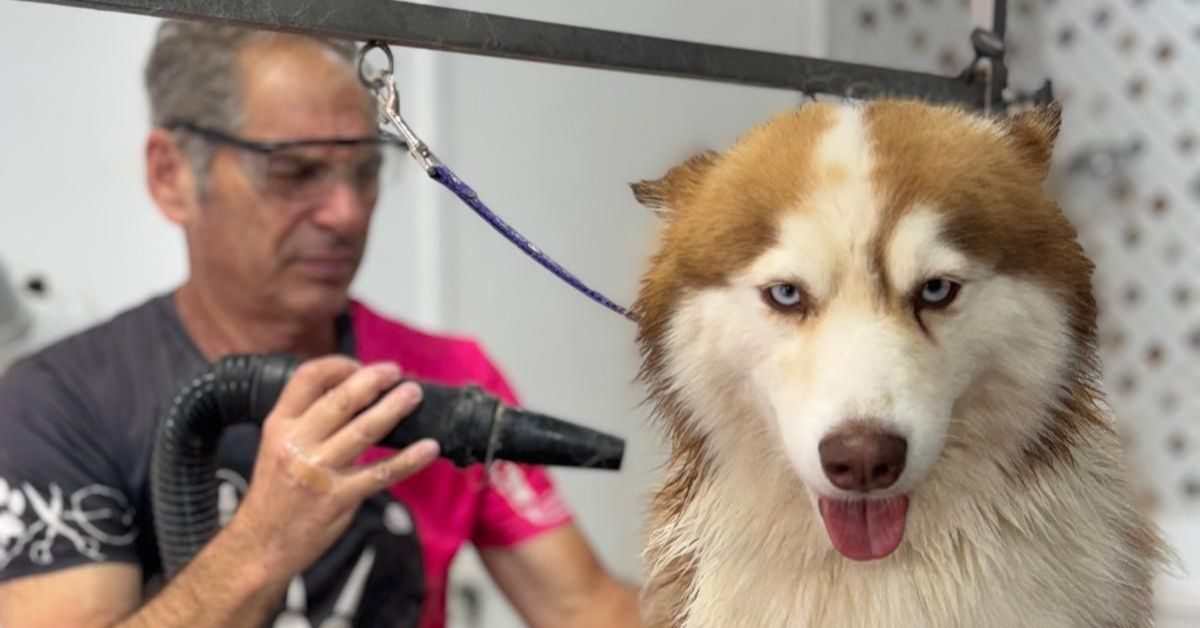 ללא שם (1200 x 628 פיקסל) (1200 x 628 פיקסל)