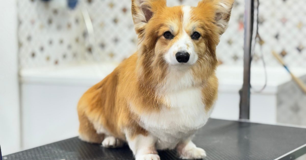 עיצוב ללא שם